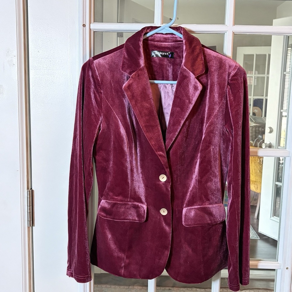 Allegra K Women's Small Pink Mauve Velvet Blazer Romantic Softgirl